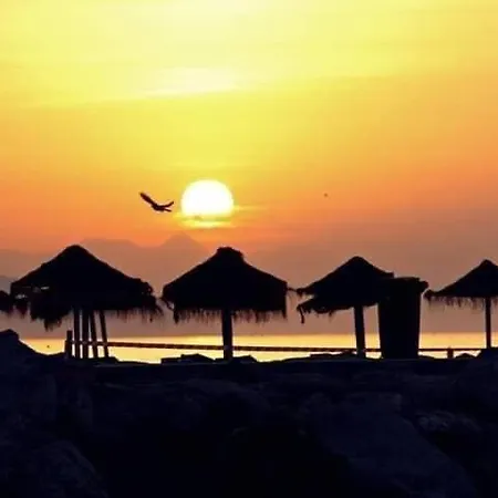 Carpe Diem De Holiday home Malaga
